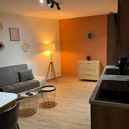 Joli Appart/vue Etang/clim /wifi Apartmán Balaruc-les-Bains
