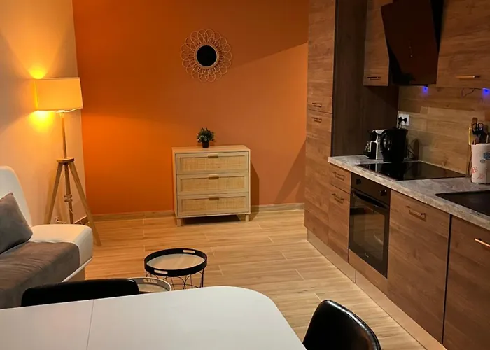 Joli Appart/vue Etang/clim /wifi Daire