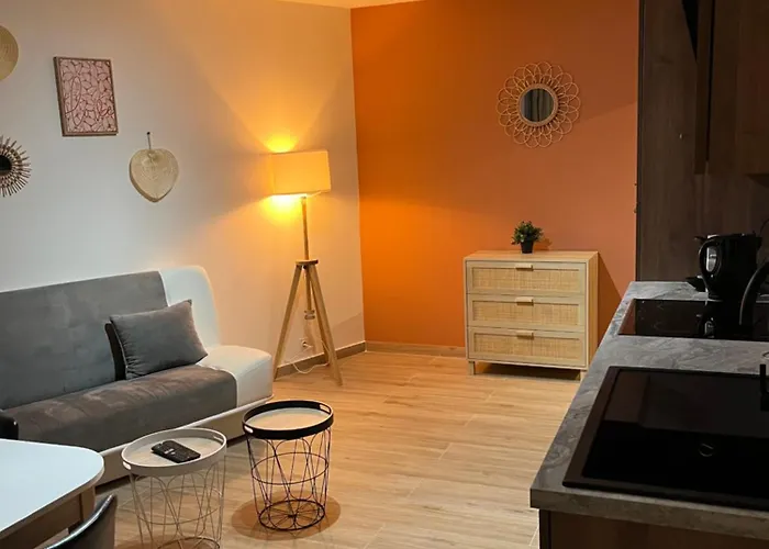 Joli Appart/vue Etang/clim /wifi Daire Balaruc-les-Bains